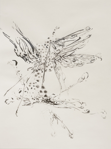 �LAN D�ORPHIUM