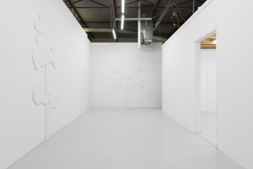 Daniel Boccato, You are not a tree, Corrugate Contemporary, Ohio, US